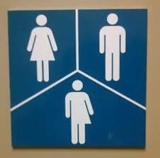 gender.silhouettes.MPI