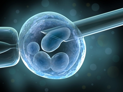 Cellules souches embryonnaires : cellules de
vie ou cellules de mort ?
