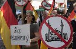 Les démocrates-chrétiens allemands envoient une musulmane au Bündestag