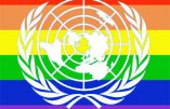 Echec à la politique pro-LGBT de l’ONU