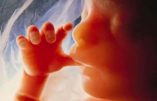 Luxembourg : le rejet de l’avortement