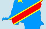 La République Démocratique du Congo devrait bientôt interdire l’homosexualité et la transsexualité