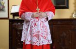 Le Cardinal Burke est bien évincé de la Congrégation des Evêques. Consternation chez les mouvements pro-vie…