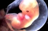 L’Union Européenne ne subventionnera plus les recherches sur embryons