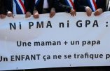 PMA : au pays des promesses