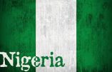 Nigéria – Les députés européens n’ont-ils pas mieux à faire ?