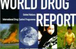 L’ONU et la dépénalisation de la drogue
