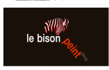 Affaire du Bison Peint: la plainte classée sans suite