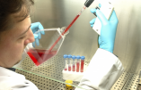 La Californie et la recherche sur les cellules souches embryonnaires humaines