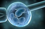Cellules souches embryonnaires : cellules de vie ou cellules de mort ?