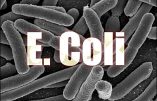 Bactérie E. Coli – l’inquiétante découverte de l’hôpital de Besançon