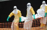 Le virus d’Ebola est-il à nos portes ? Qu’attendent nos gouvernants pour interrompre les vols en provenance d’Afrique de l’Ouest ?