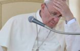 Scandales sexuels : le pape est-il complice ?