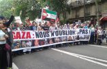Manifestation en faveur de la Palestine : « Israël assassin, Hollande complice ! »