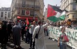 Reportage – Manifestation pro-palestinienne à Paris ou « l’Intifada » à Barbès !