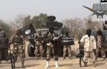 Boko Haram tue  près de 150  personnes au Nord du Nigeria