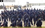 Les djihadistes veulent ouvrir des fronts au Maghreb et obtenir l’allégeance des factions islamistes du Yémen, d’Algérie et de Libye