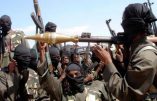 Les djihadistes de Boko Haram attaquent le Cameroun