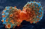 Du venin de cobra pour détecter le cancer