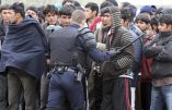 Loi Asile-Immigration : un nouveau leurre