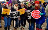 États-Unis : implosion du nombre d’avortoirs