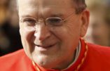 Le cardinal Burke : “Vous avez raison d’avoir peur de l’Islam”