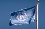 Scandale sexuel en Syrie : l’ONU dans le viseur