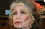 Brigitte Bardot demande aux musulmans de remplacer le sacrifice d’un animal par une offrande aux plus déshérités