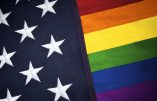 États-Unis : le « mariage » homosexuel en question