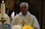 Le cardinal Müller évoque « un schisme de facto »