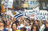 Elections en Uruguay : les évêques appellent à défendre la Vie et la Famille