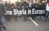 Cologne : « Pas de charia en Europe » clament des milliers de manifestants