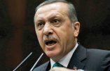 Que cache la zone tampon réclamée par la Turquie en Syrie ?