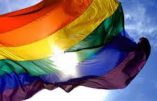L’Espagne institue le Gay Pride Day