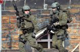 Coups de feu au parlement canadien : au moins un blessé (vidéo)