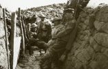 L’Irlande redécouvre une émouvante collection de photographies de la première guerre mondiale
