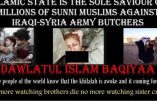 Manipulation djihadiste : une photo utilisée pour la propagande de l’Etat Islamique provient d’un film porno