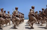 Agressions sexuelles, vols, bagarres,… : plus de 300 soldats libyens doivent quitter la Grande-Bretagne où ils suivaient une formation militaire