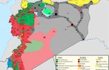 Syrie martyrisée: Défaites de l’armée syrienne régulière face à al Qaïda – Détail des forces et des pays qui les soutiennent.