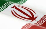 Stratégie de l’Iran face à la menace terroriste, par l’ambassadeur Ali Ahani