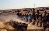 L’Etat Islamique exécute une centaine de ses combattants étrangers qui tentaient de déserter