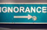 Micro-trottoir de Canal + : l’ignorance, fruit du lavage de cerveau des Français