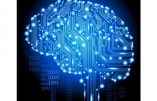 “L’intelligence artificielle pourrait mettre fin à l’humanité”