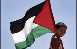 Elie Hatem plaide pour l’intégralité territoriale d’une Palestine multiconfessionnelle