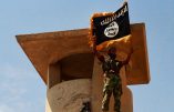 Etat Islamique en Irak : 170 otages pour 2 drapeaux brûlés