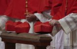 Le pape annonce le nom des 20 futurs cardinaux