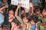 Inde : des centaines d’enfants esclaves libérés par la police