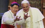 Pape François « Certains croient […] que, pour être bons catholiques, ils doivent être comme des lapins ! »