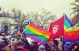 Tunisie – Forum social mondial, lobby LGBT et nouvel ordre sexuel mondial mais aussi bagarre inter-ethnique