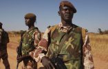 20 présumés terroristes arrêtés au Mali dont deux Français